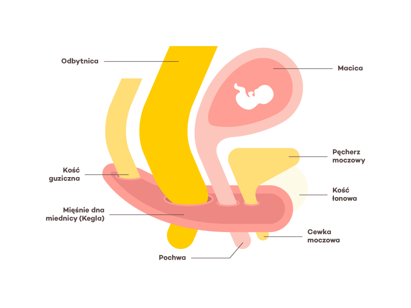 bk-grafika-artykuly-kegel.width-800